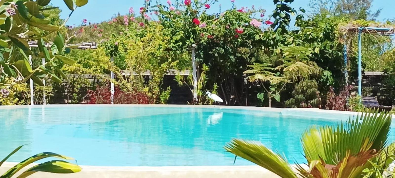 Matemwe Ocean View Villas Exteriör bild
