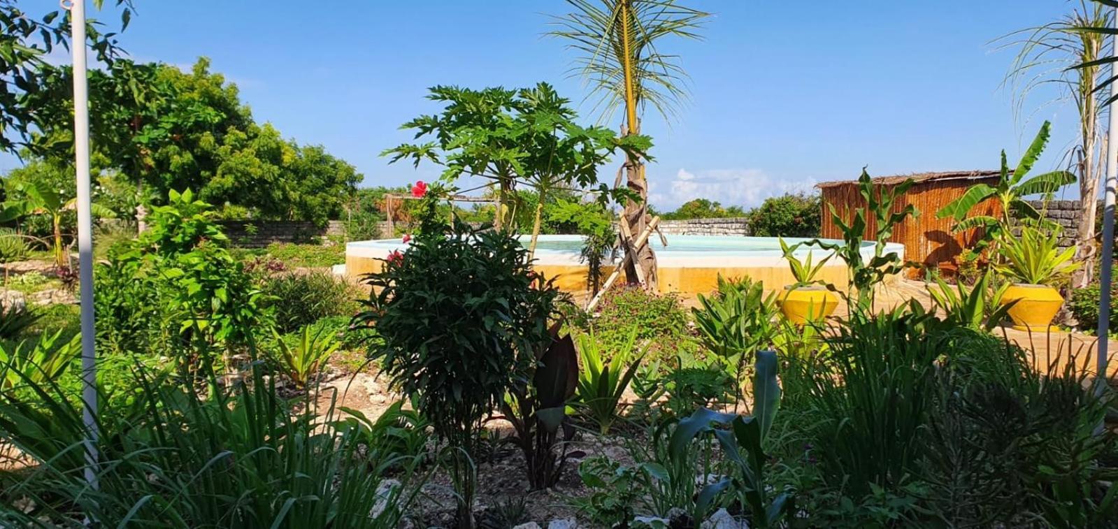 Matemwe Ocean View Villas Exteriör bild
